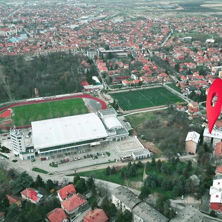 Apartman Milica Vrsac Bagian luar foto