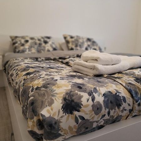 Apartman Milica Vrsac Bagian luar foto