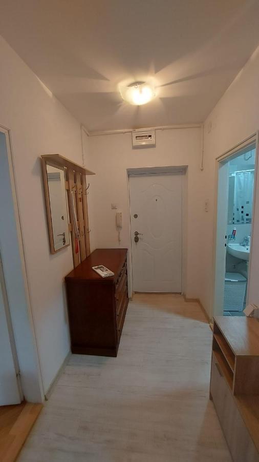 Apartman Milica Vrsac Bagian luar foto