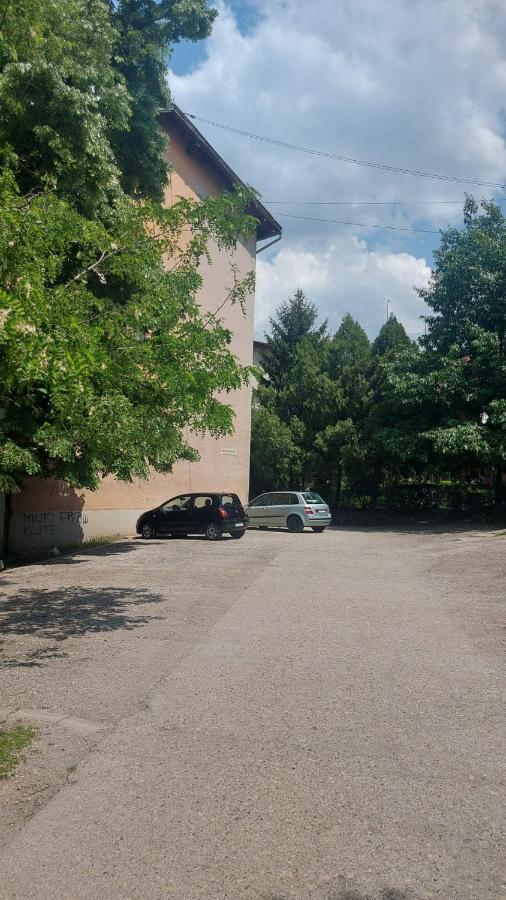 Apartman Milica Vrsac Bagian luar foto