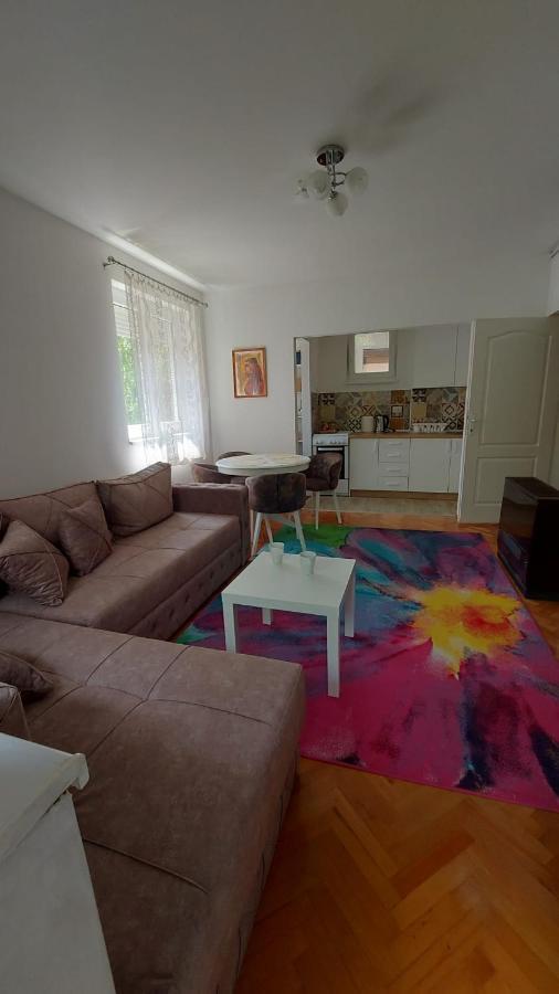Apartman Milica Vrsac Bagian luar foto