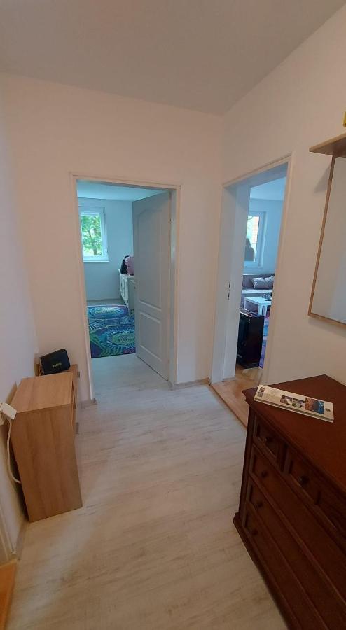 Apartman Milica Vrsac Bagian luar foto