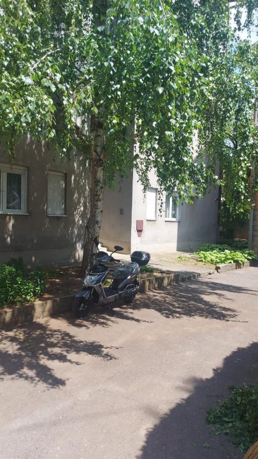 Apartman Milica Vrsac Bagian luar foto