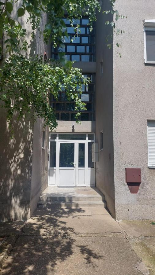 Apartman Milica Vrsac Bagian luar foto