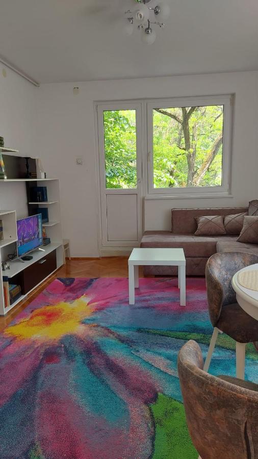 Apartman Milica Vrsac Bagian luar foto