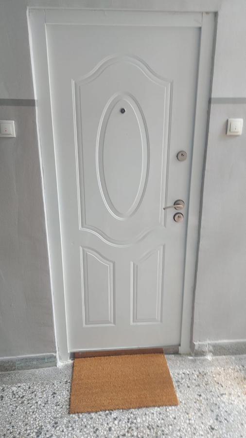 Apartman Milica Vrsac Bagian luar foto