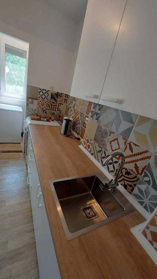 Apartman Milica Vrsac Bagian luar foto