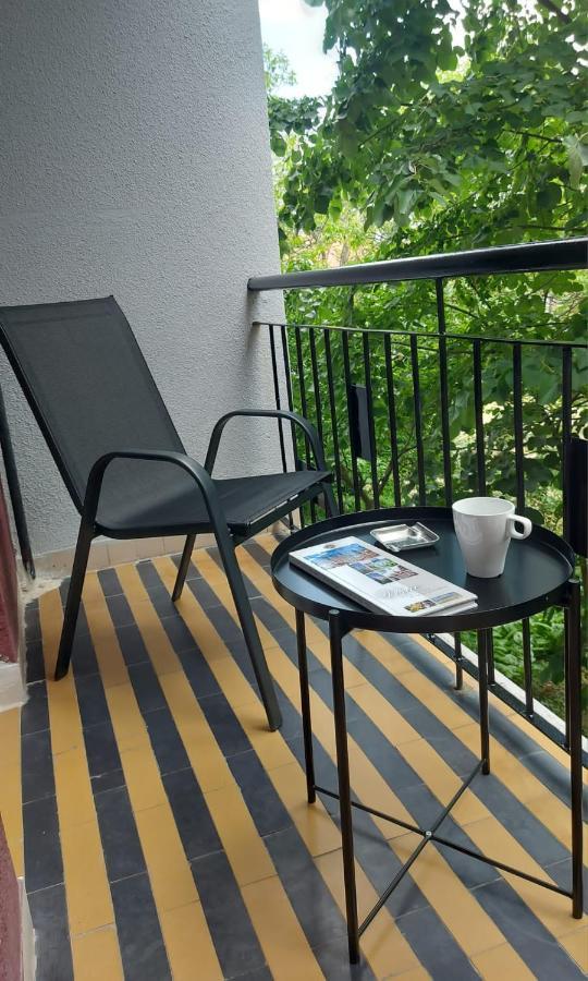 Apartman Milica Vrsac Bagian luar foto