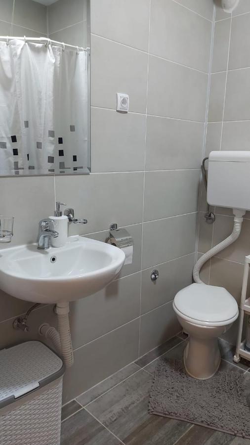 Apartman Milica Vrsac Bagian luar foto