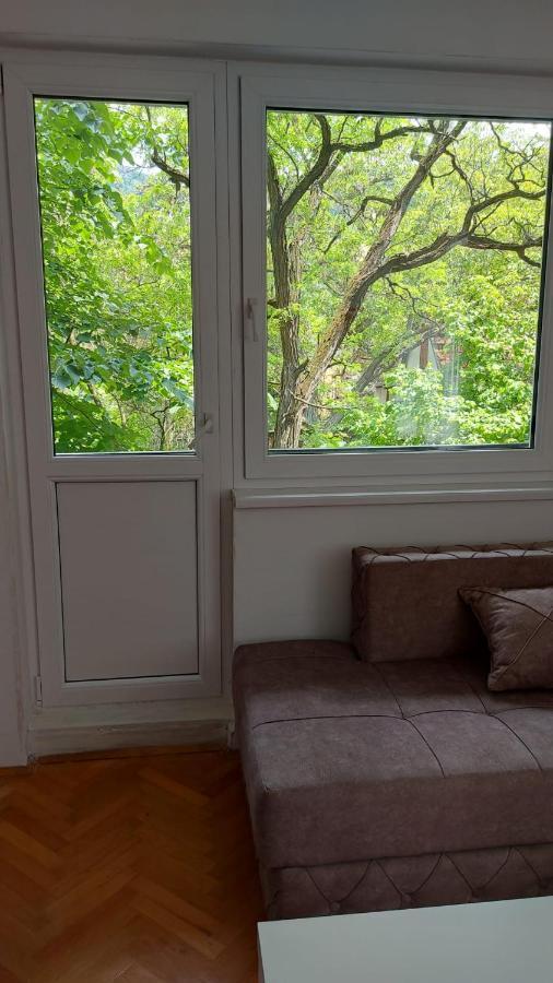 Apartman Milica Vrsac Bagian luar foto