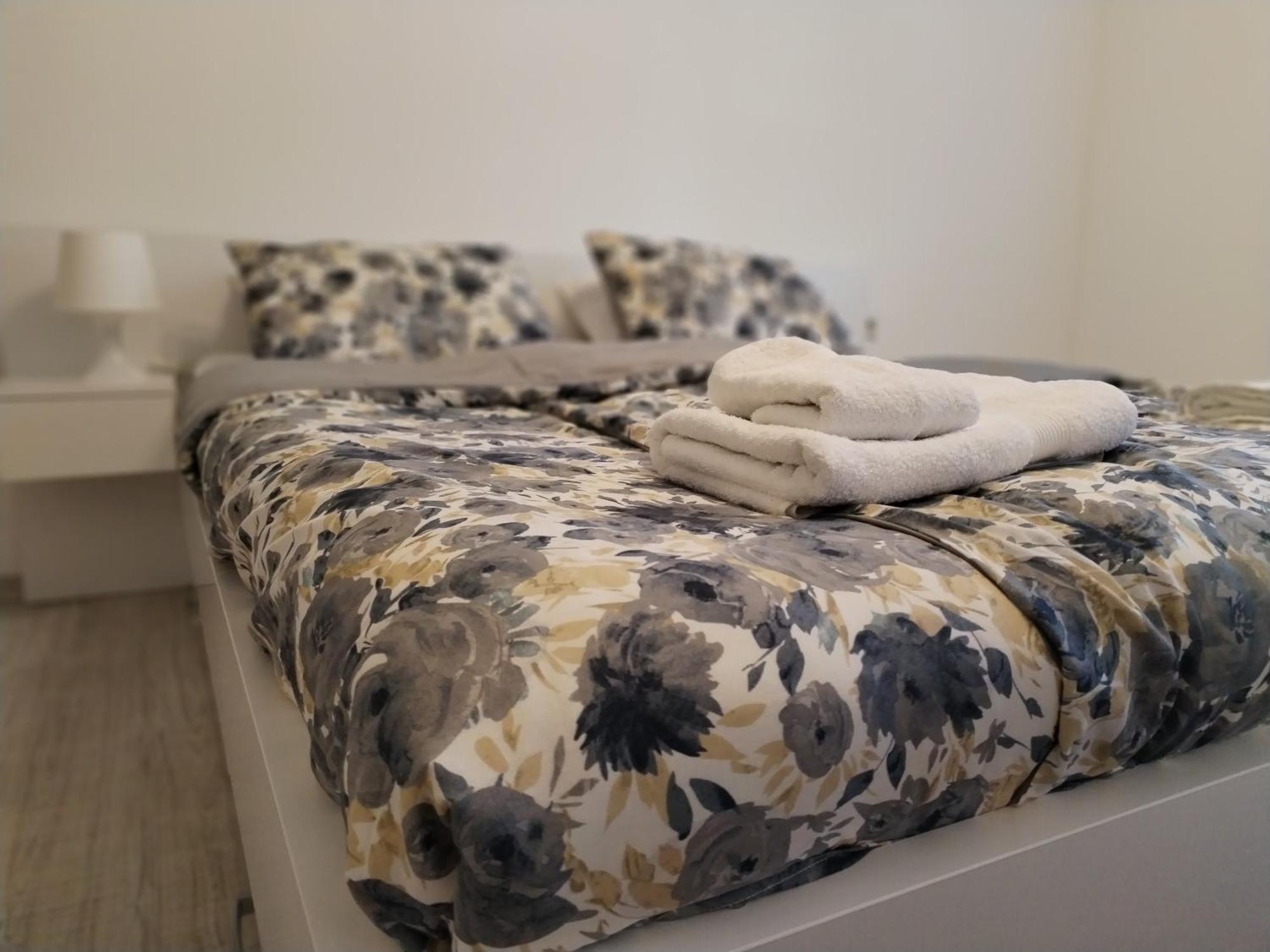Apartman Milica Vrsac Bagian luar foto